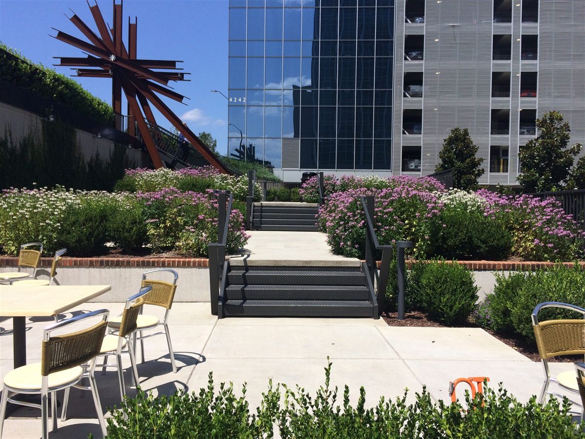 Rose beds and plaza plantings at a downtown Durham campus