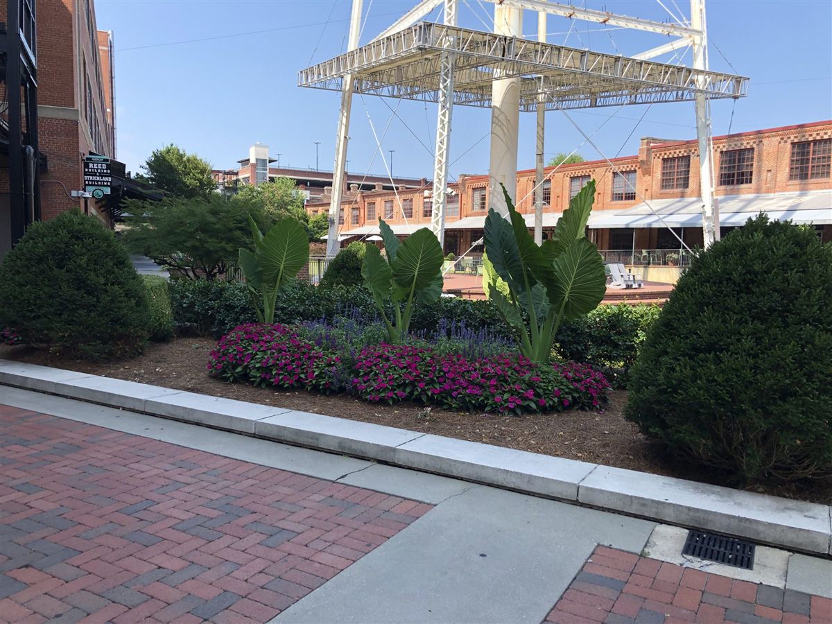 Brick walkway with layered plantings at a designed commercial landscape