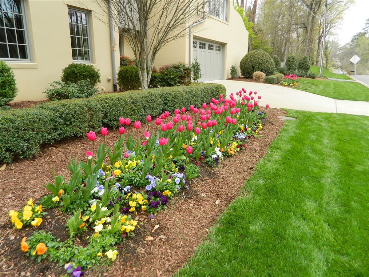 Tulip and pansy border enhancement along a residential driveway