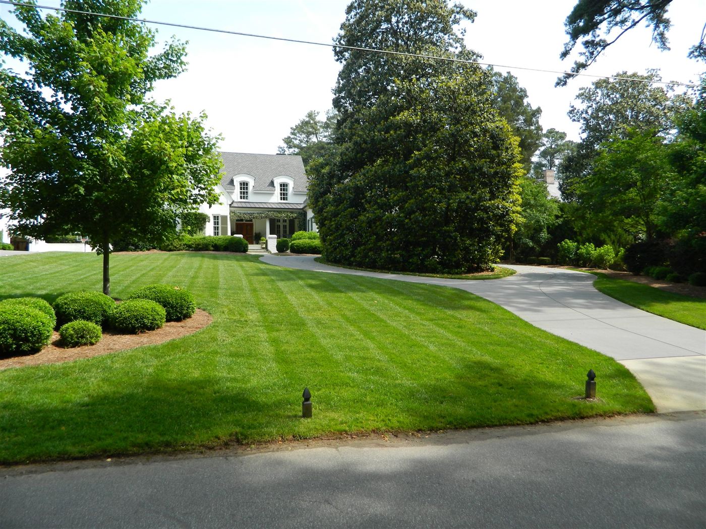 Residential landscape maintenance at a Raleigh home with striped lawn and mature magnolia